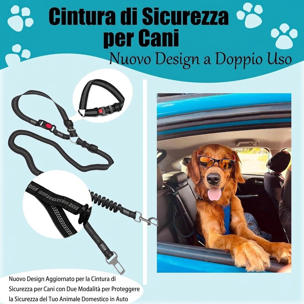 Cintura sicurezza Alta