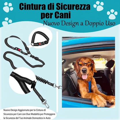 Cintura sicurezza Alta